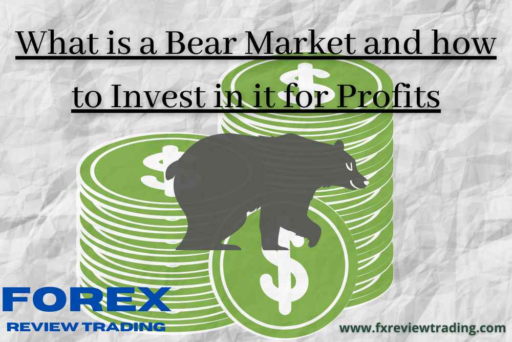 What is a Bear Market and how to invest in it for profits