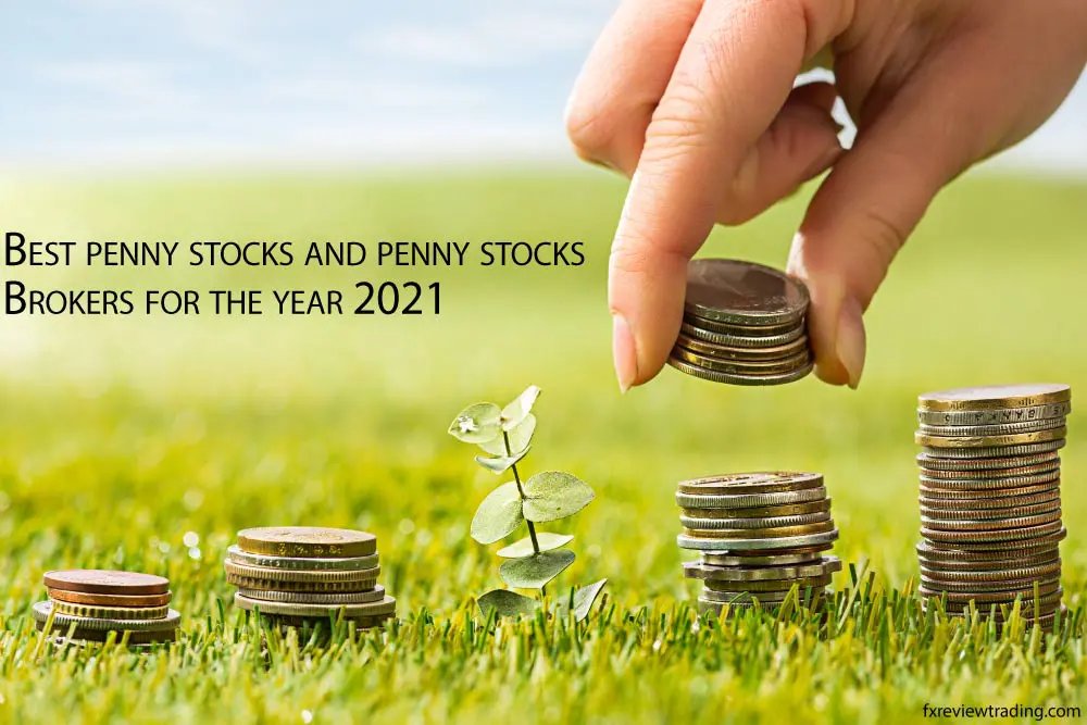 Best Penny Stocks And Penny Stocks Brokers For The Year 2022