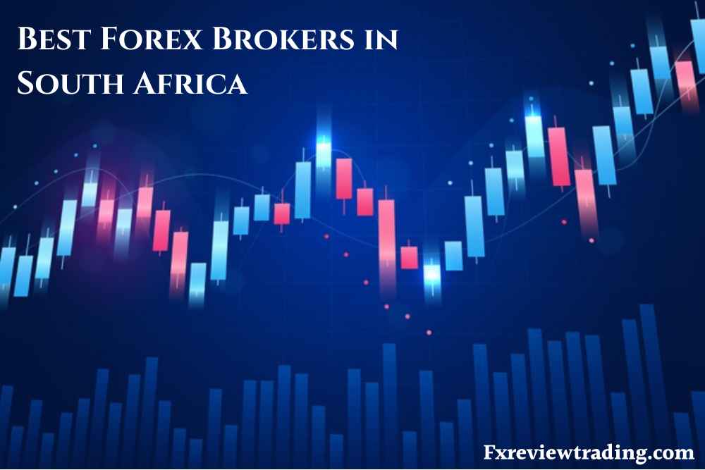 Best Forex Brokers In South Africa