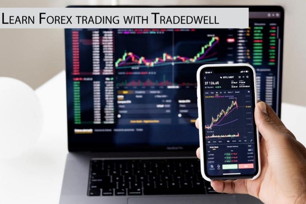 Learn Forex Trading With Tradedwell (1)
