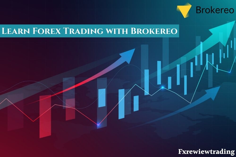 Learn Forex Trading with Brokereo