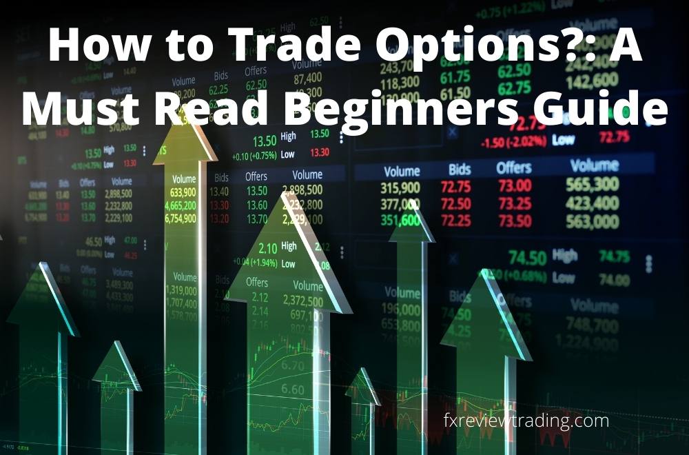 How to Trade Options?: A Must Read Beginners Guide 2022