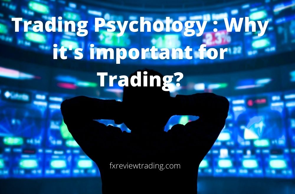 Trading Psychology Beginners Guide: Why it's important for Trading?