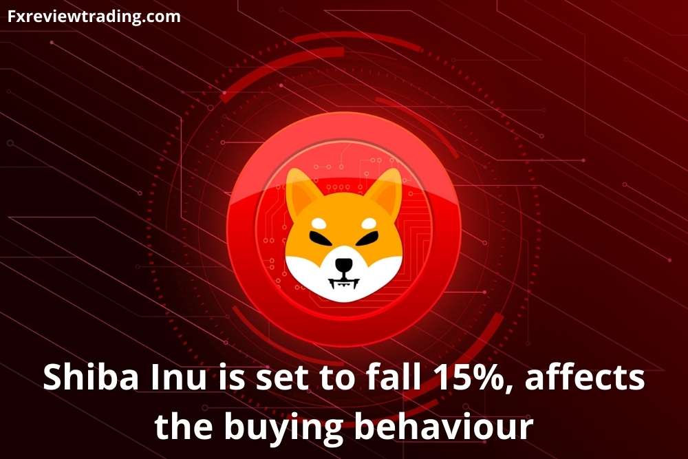 Shiba Inu is set to fall 15%, affects the buying behaviour