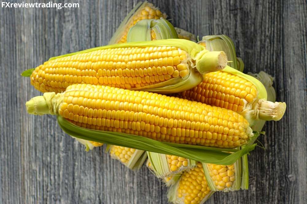 "Corn/