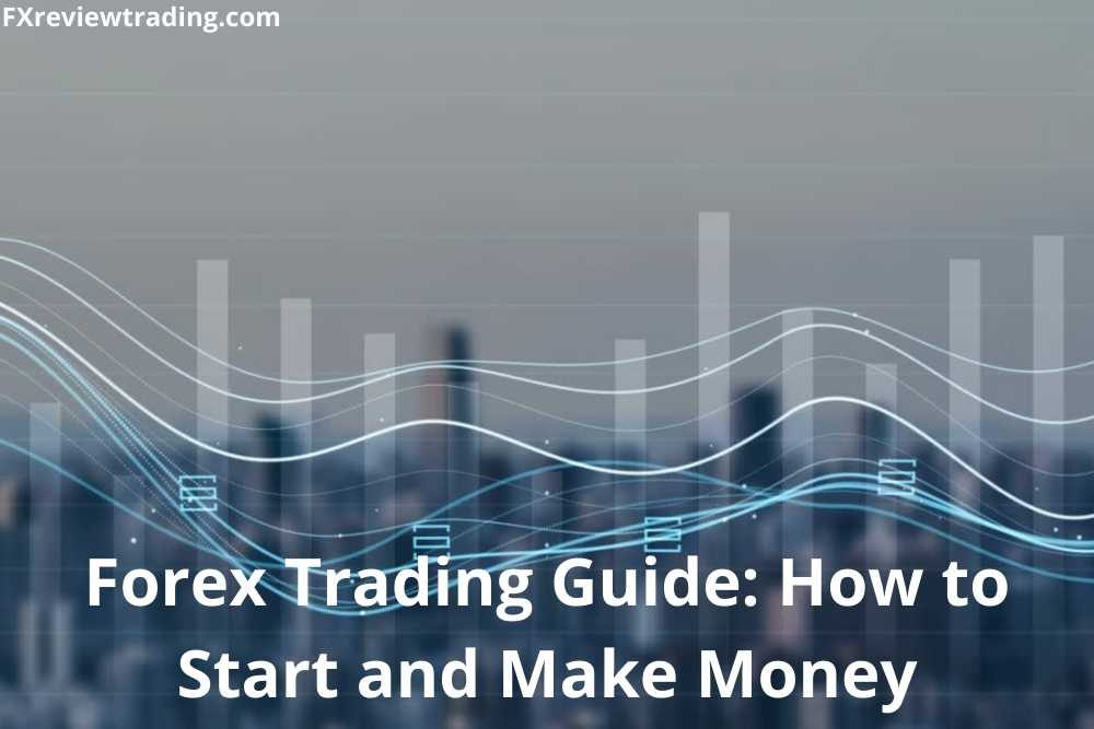 Forex Trading Guide: How to Start and Make Money