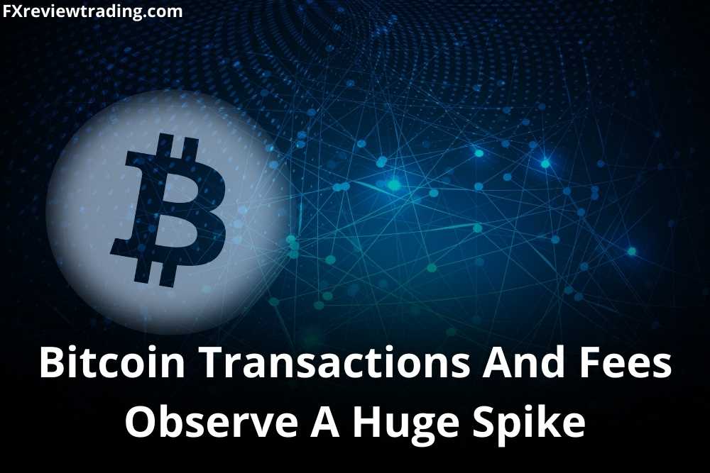 Bitcoin transactions and fees observe a huge spike due to de-risking