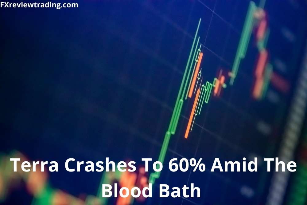 Terra Crashes To 60% Amid The Blood Bath