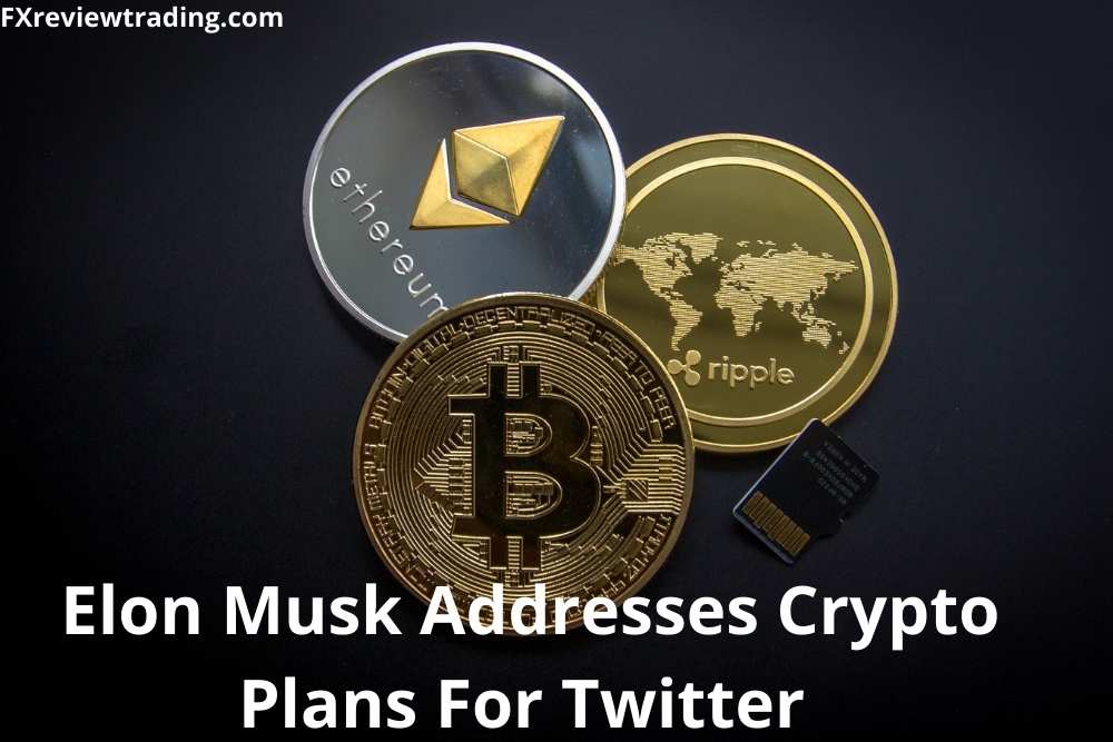 Elon Musk Addresses Crypto Plans For Twitter